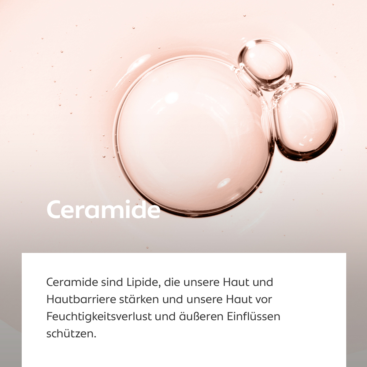 Transparente Flüssigkeitsblasen auf hellem Hintergrund in Nahaufnahme